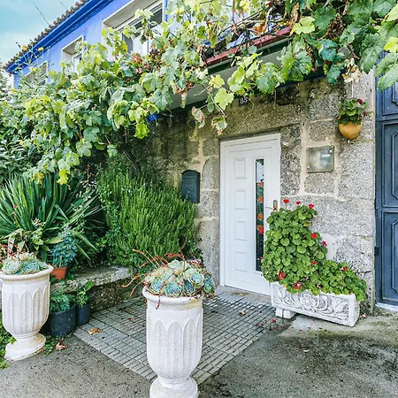 Tatil Evi Beautiful In With Wifi *